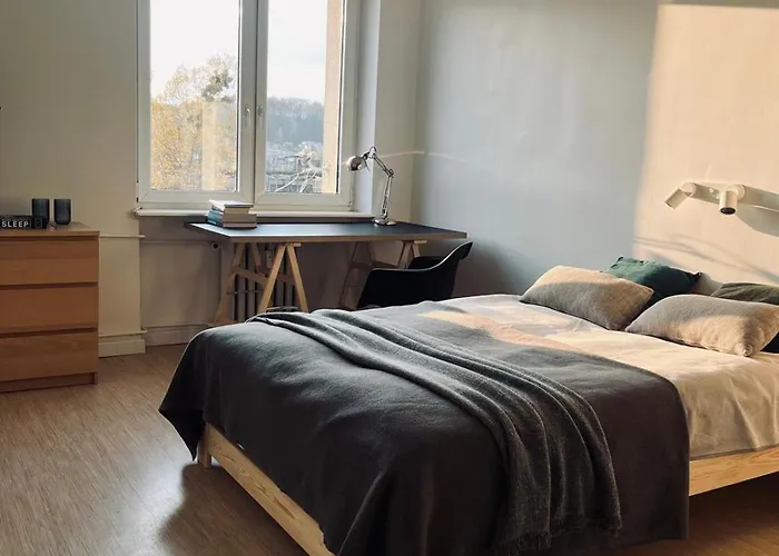 Appartement Swietojanska - Park